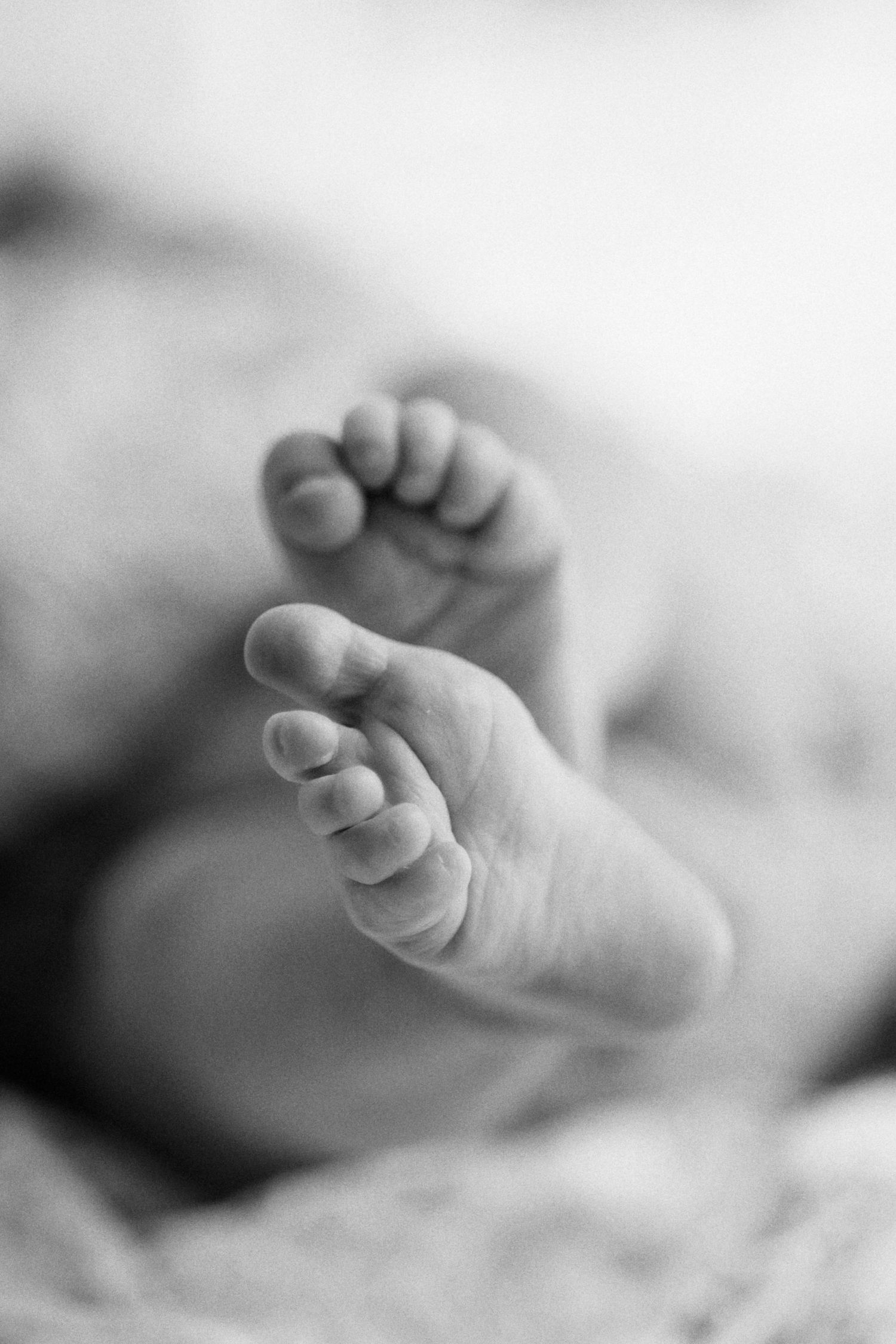 Close-up black and white photo of tiny newborn baby feet against soft fabric.