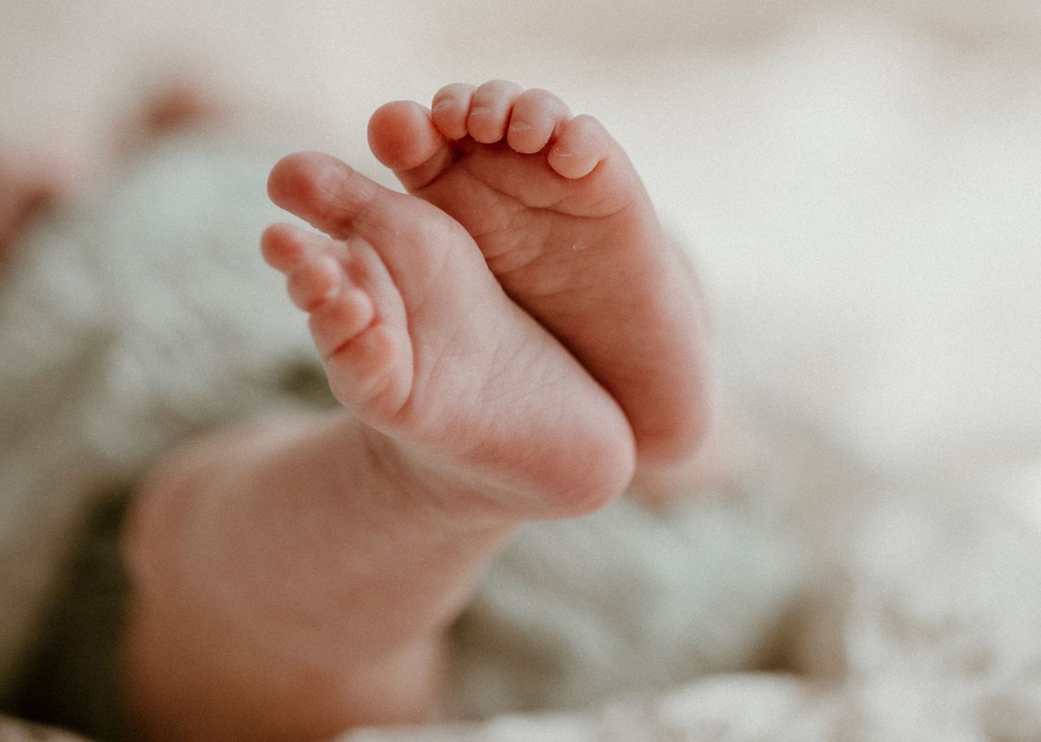 Close-up photograph of tiny newborn baby feet against soft textured background.