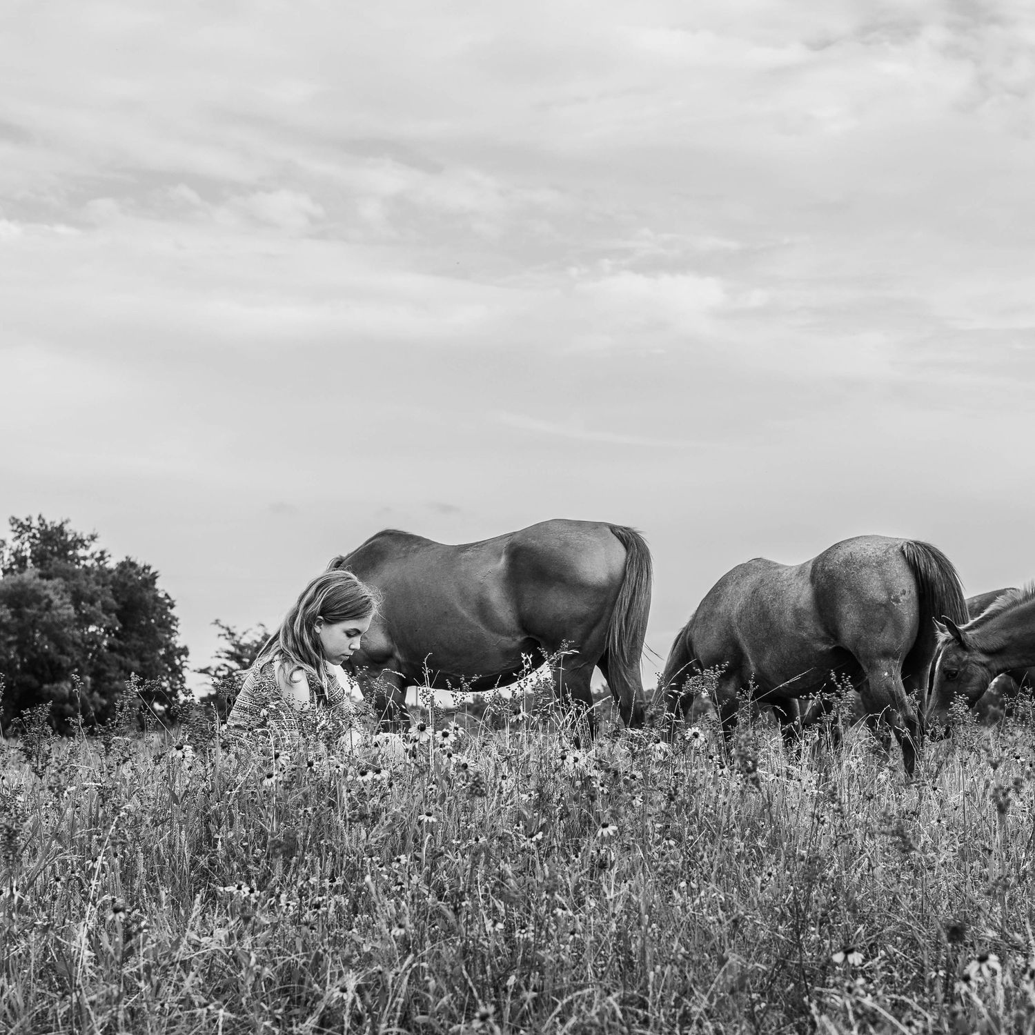 A brown horse grazes in a field of yellow wildflowers while being tended to on a sunny day.
