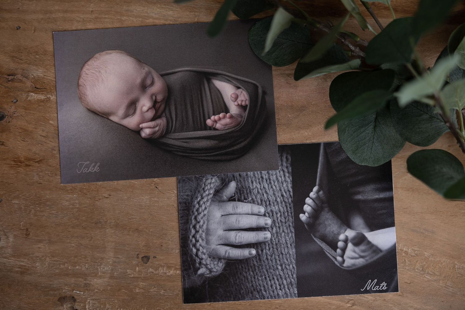 Takkekort kan kjøpes hos fotograf irene tveit