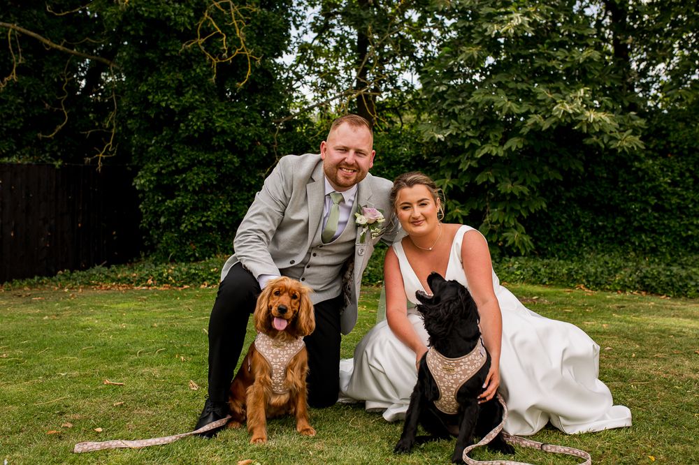 A couple poses outdoors on their wedding day with two dogs on a grassy lawn.