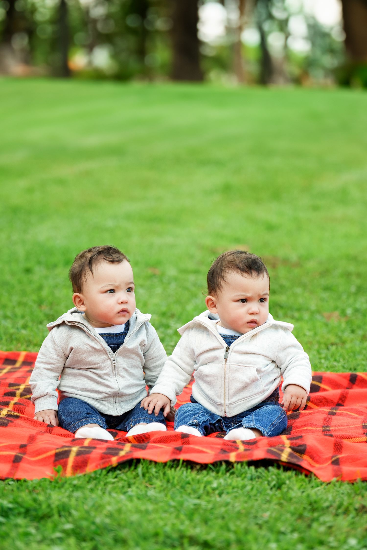 Two babies in matching gray hoodies and jeans sit together on a red blanket in the grass on a sunny day.