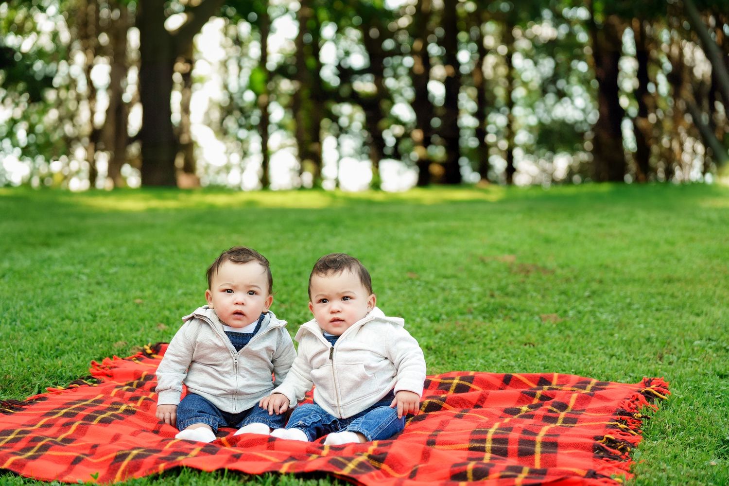 Two young children sit together on a red plaid blanket in a grassy park setting.