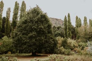 Platteland Self-Catering Accommodation Clarens