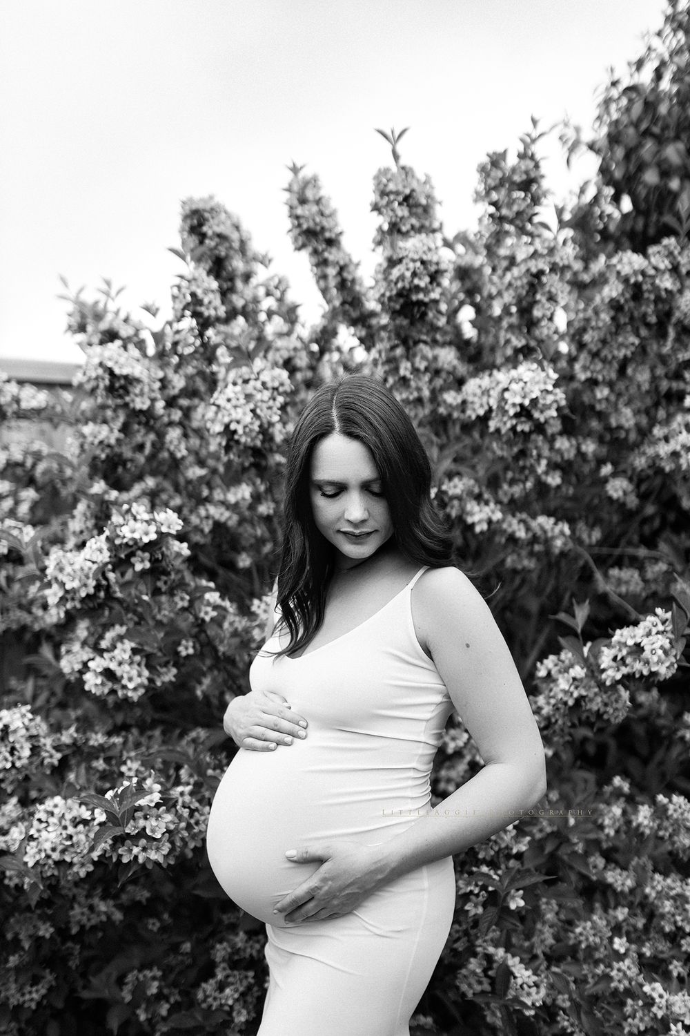 Black and white maternity photo of pregnant woman in white dress holding belly near flowering bushes outdoors.