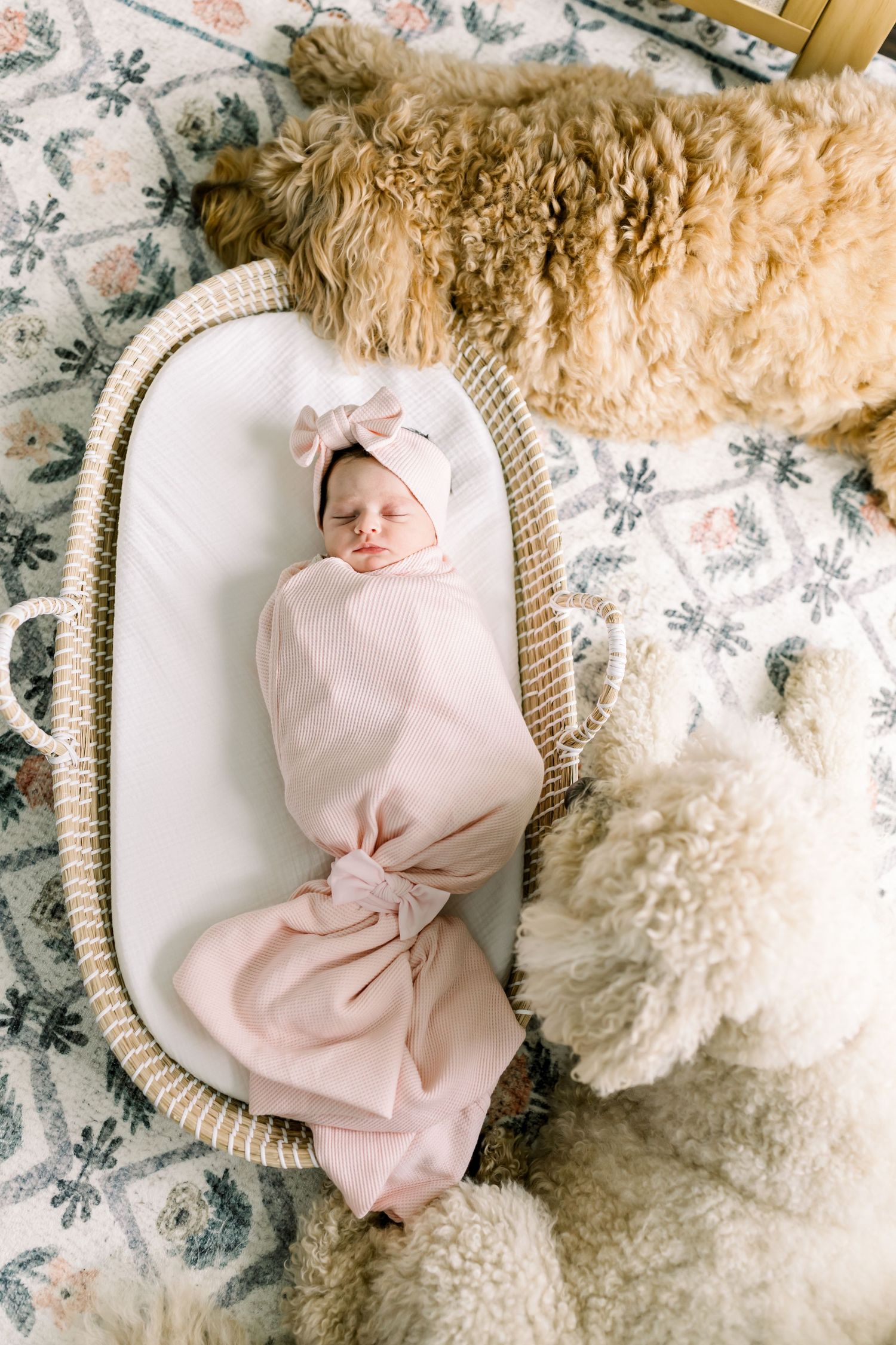 Newborn in pink swaddle resting in woven bassinet with fluffy dog nearby.