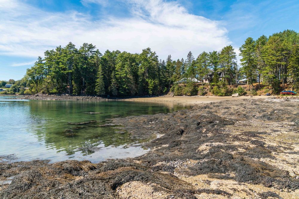 Rocky shoreline panorama of a lake surrounded by pine trees on a sunny summer day.