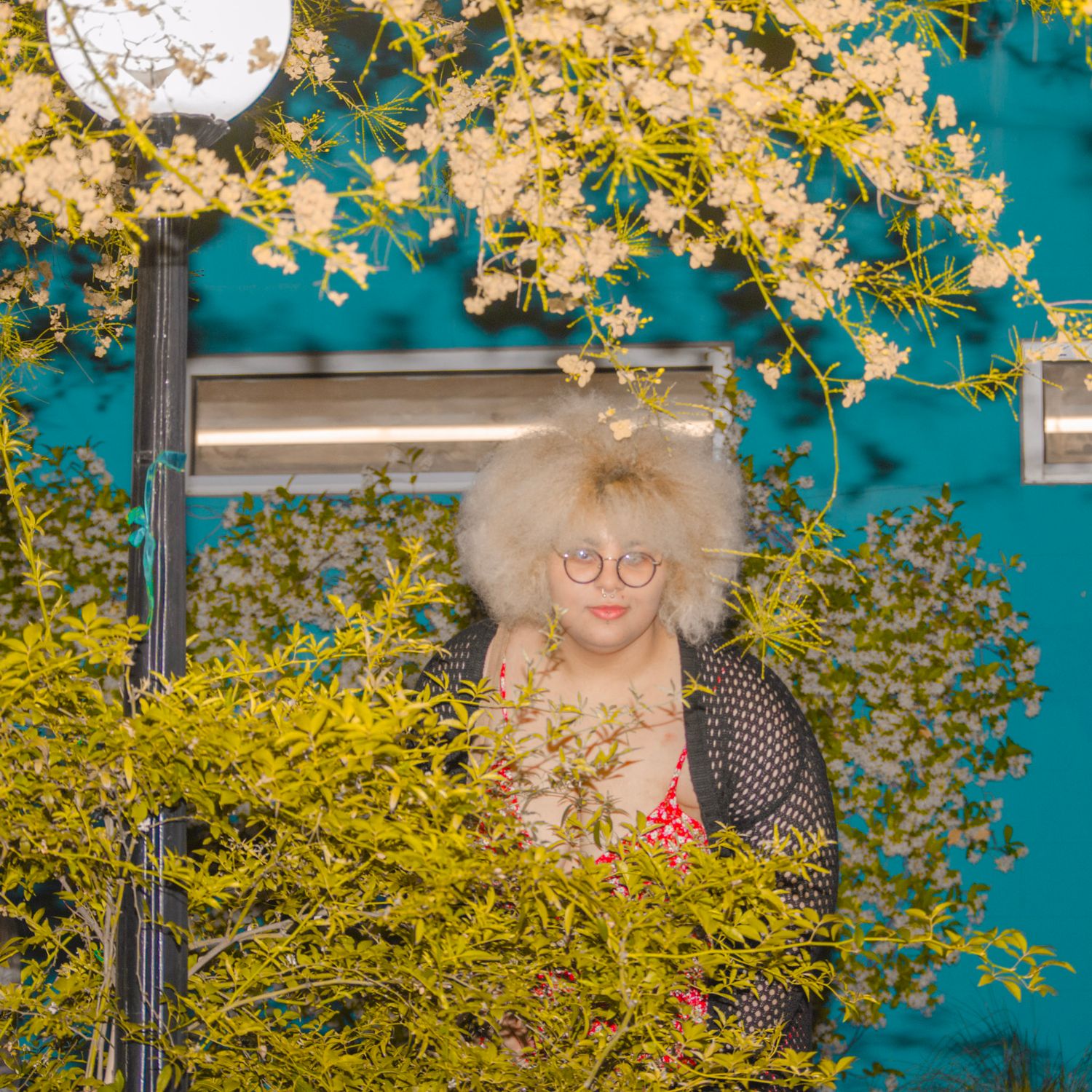 Yellow flowers bloom against a bright turquoise wall with decorative outdoor lighting fixtures.