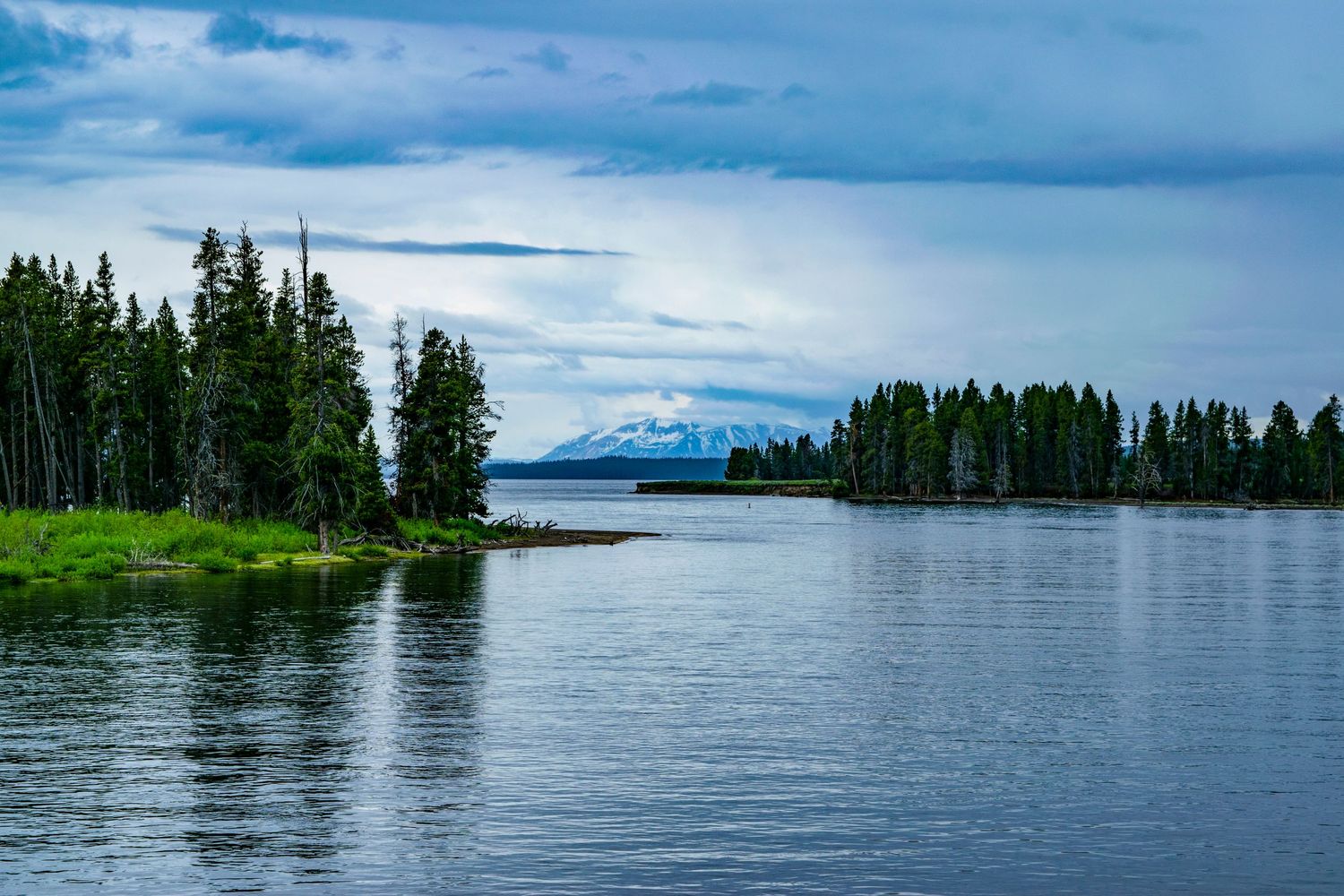 Serene lake view with evergreen trees and snow-capped mountain peak in the distance.
