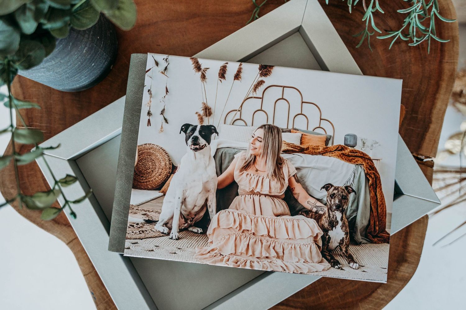 Collection of matted pet photographs displayed with decorative plants on wooden surface.