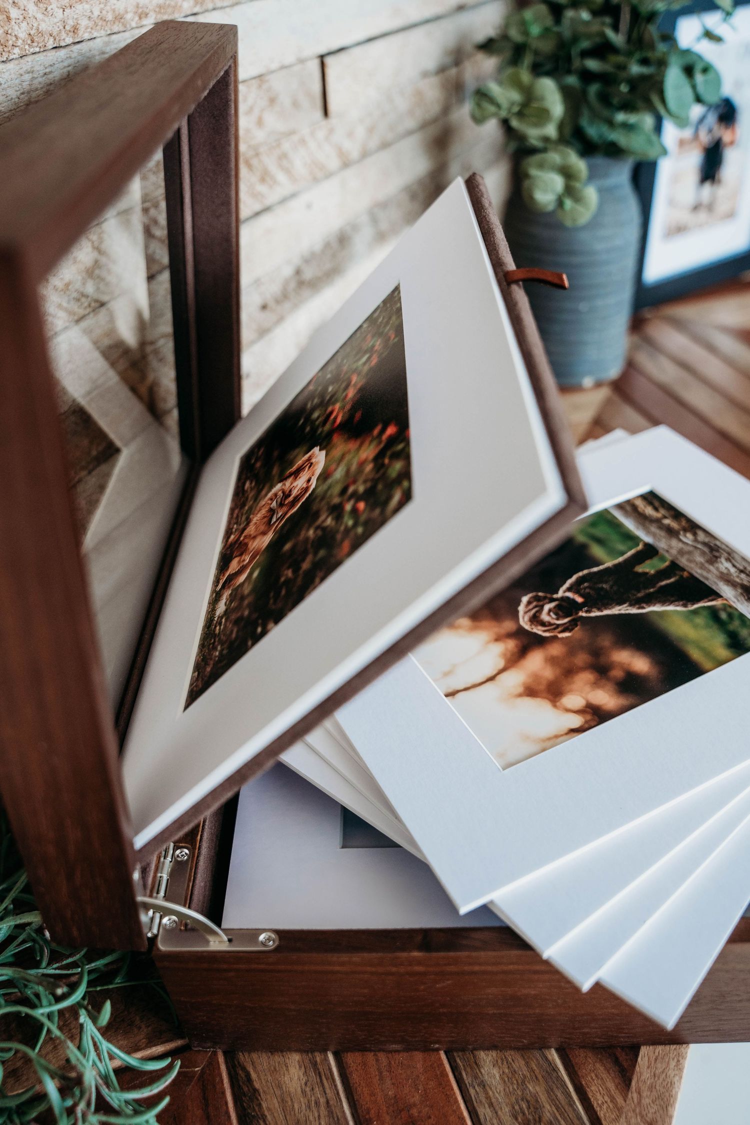 Professional pet photography prints arranged in white mats and wooden frames.