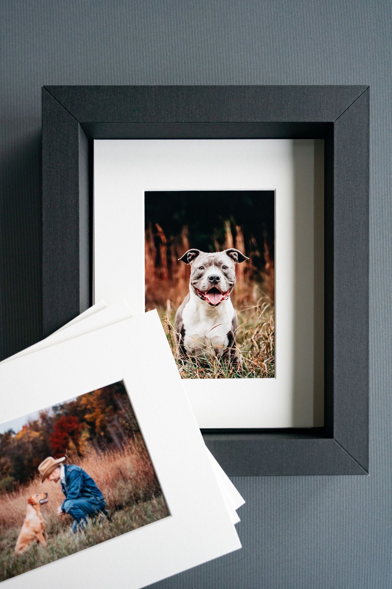 Series of black frames displaying pet photography against a grey wall.