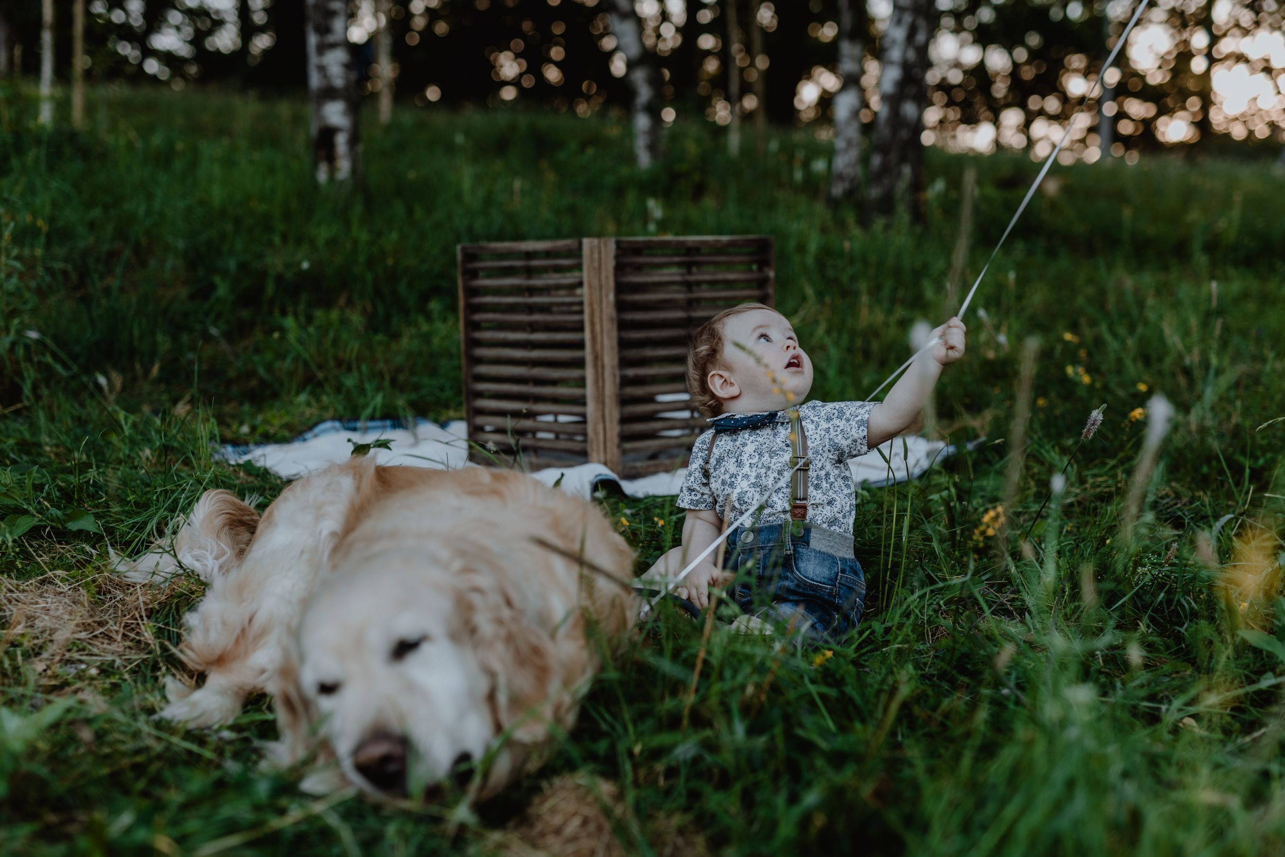 Child celebrating their first birthday with a family dog on a picnic blanket at Jelenovac.