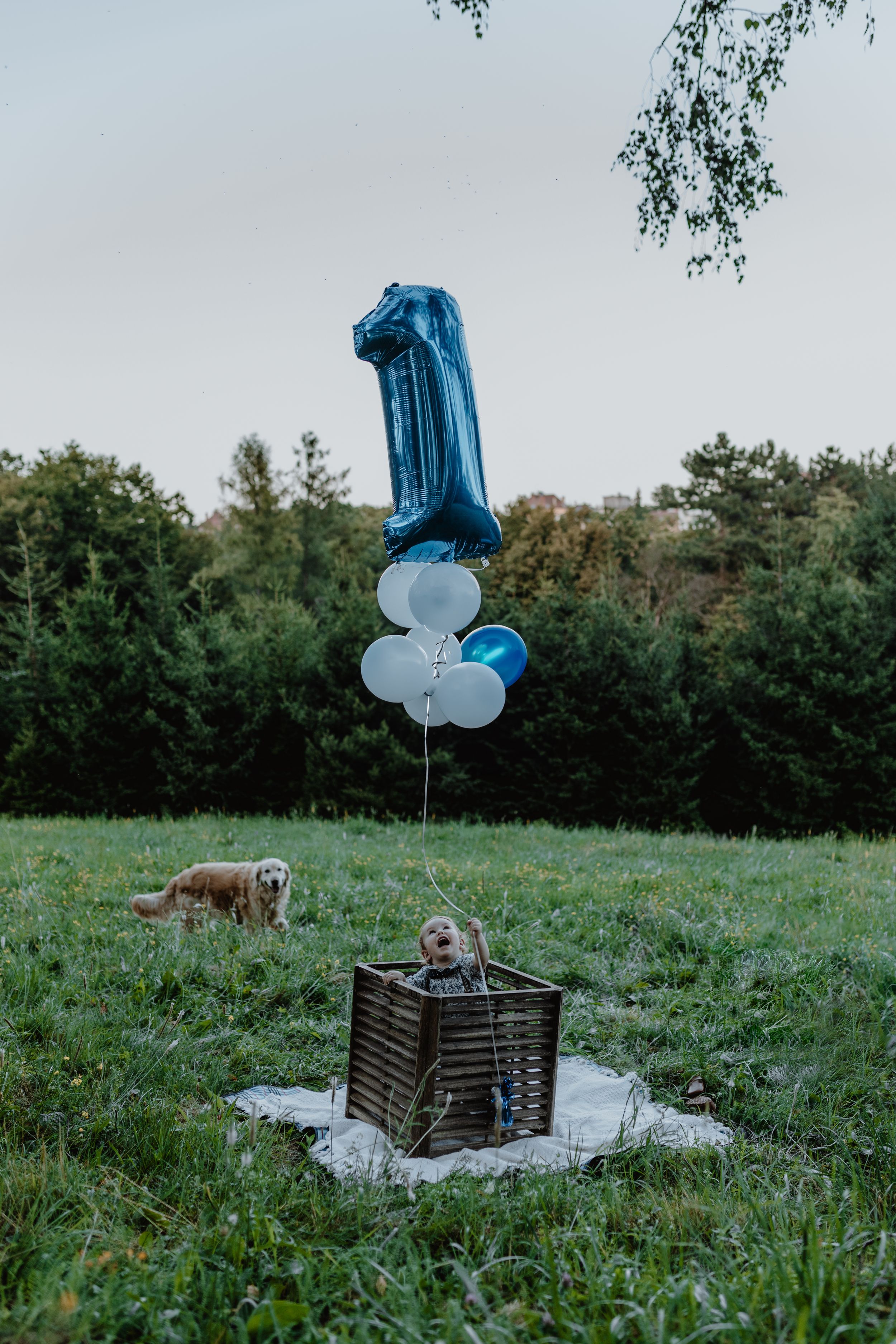Child playing with colorful balloons in a basket at Jelenovac during a family session.