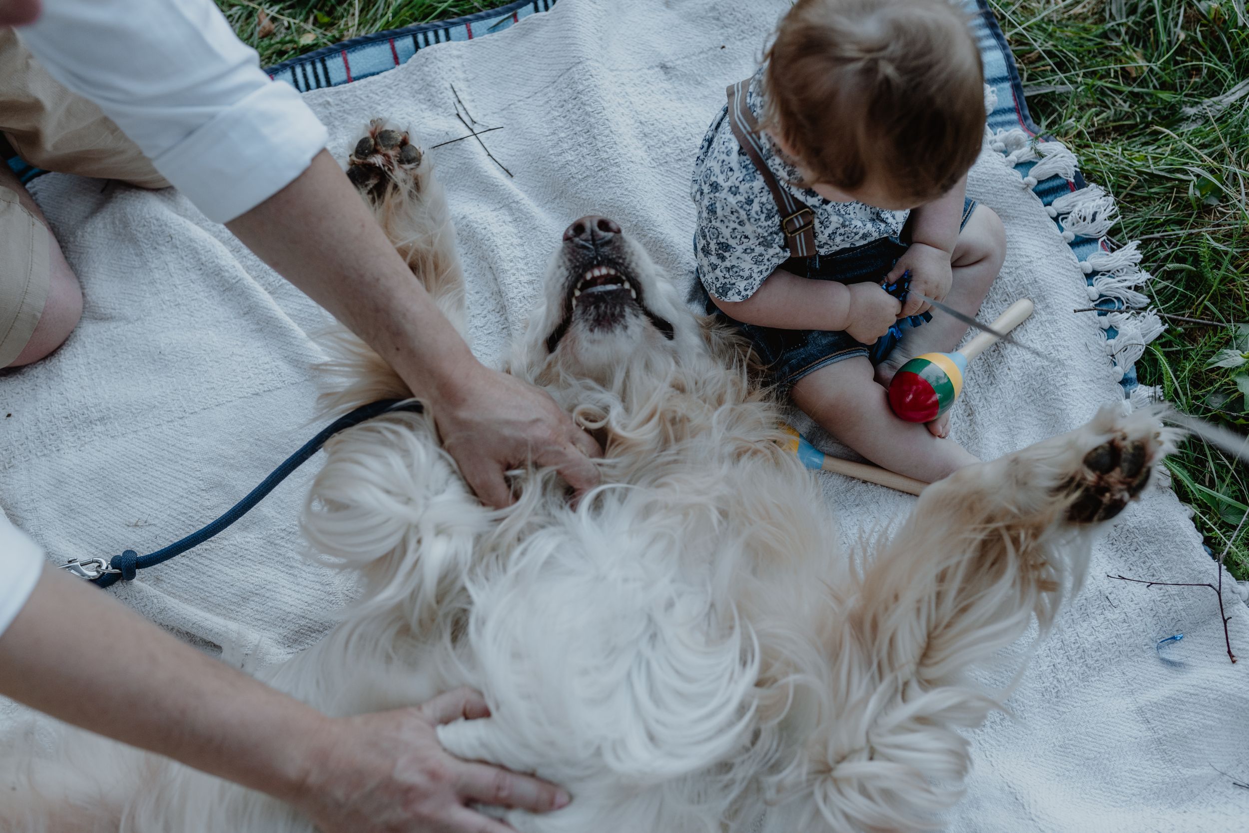 Family and their dog playing together during a first birthday session at Jelenovac.