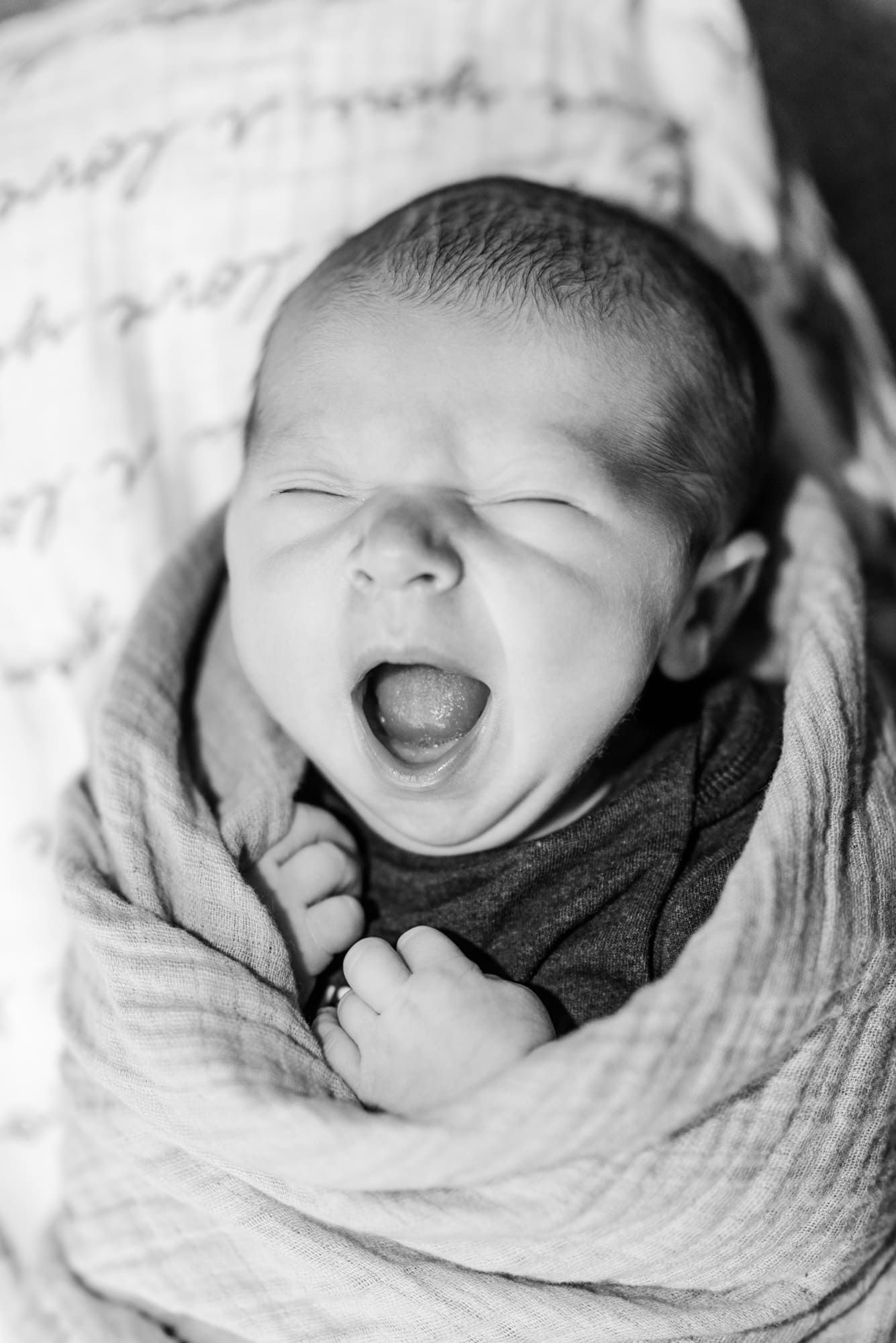 Newborn Photography in Pittsburgh, PA