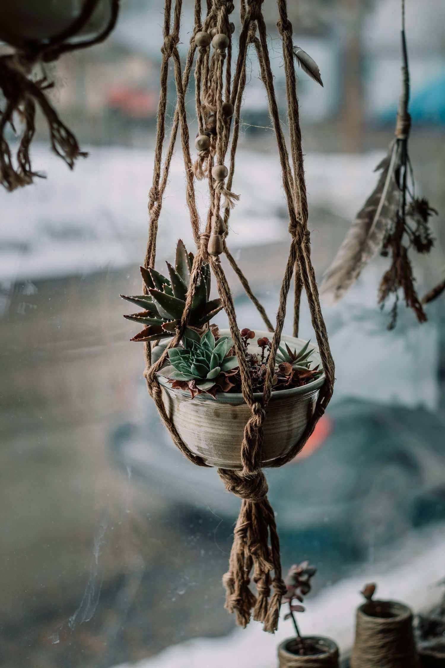 Hanging macrame plant holders with succulents create a bohemian atmosphere.