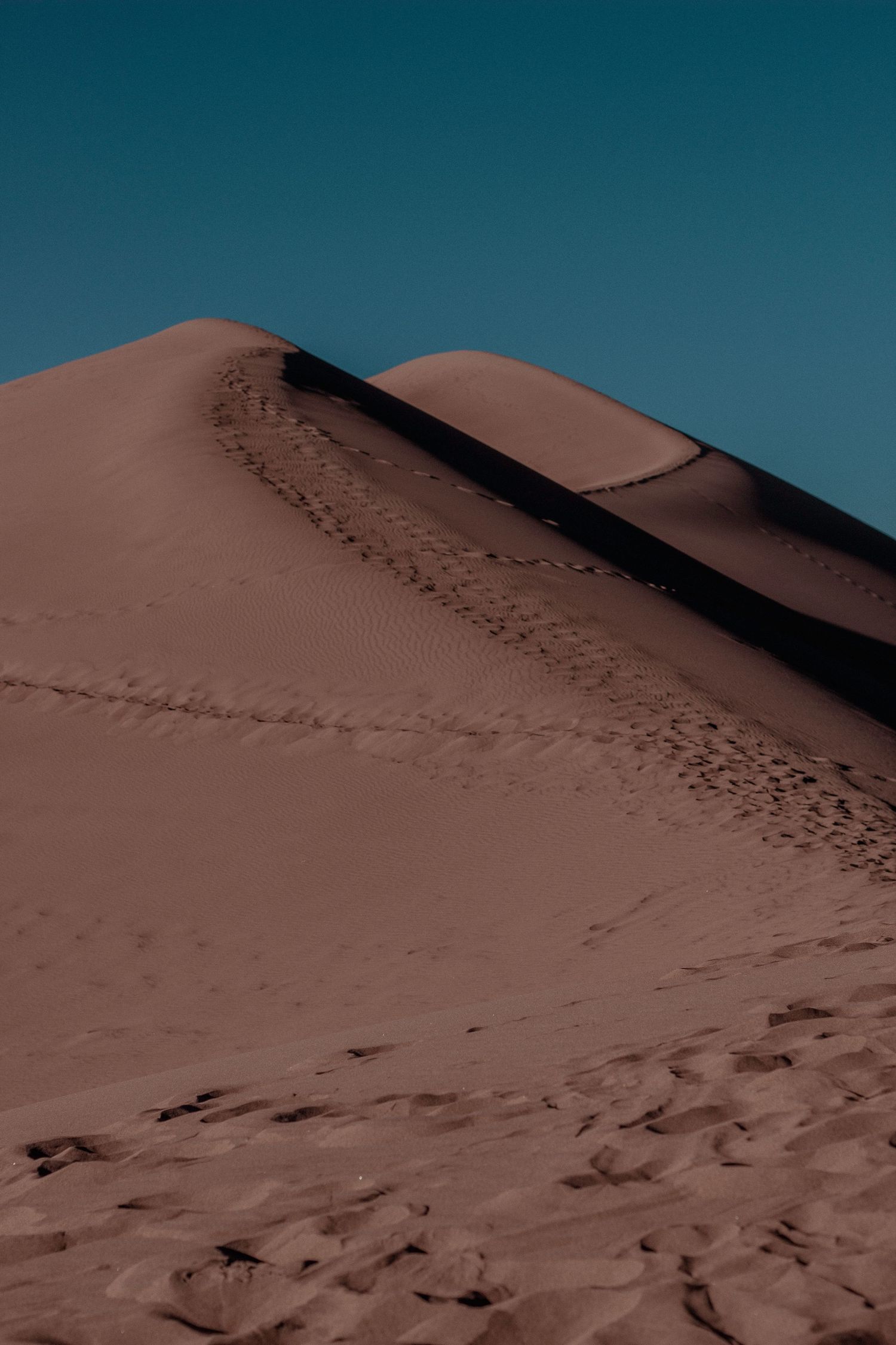 Sand dunes create flowing curves and patterns in desert landscape.