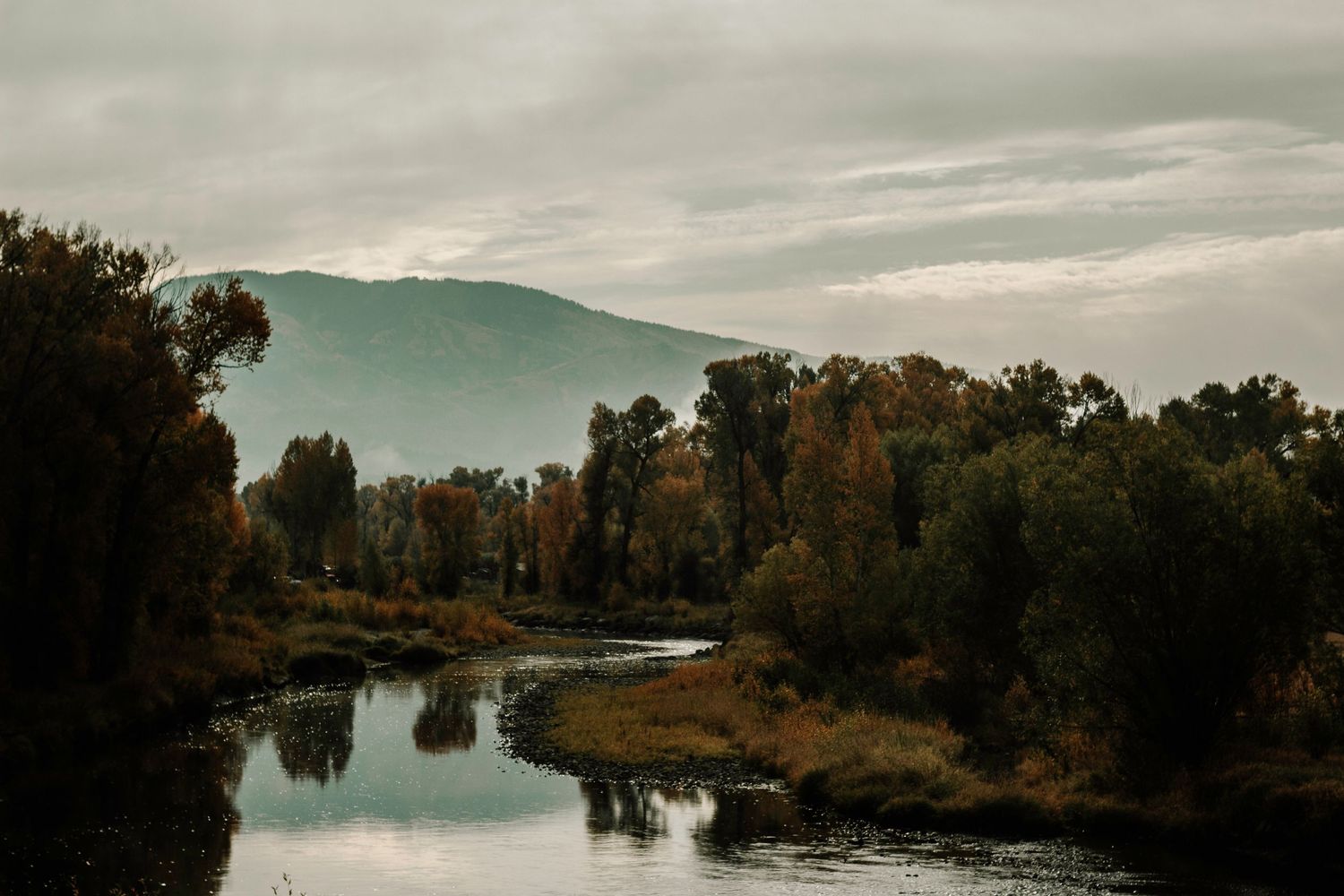 Autumn trees line a tranquil river beneath cloudy skies in panoramic view.