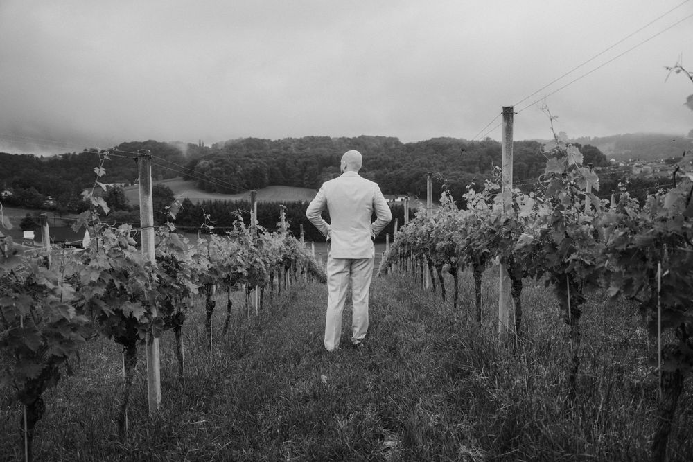 Black and white photo of a person standing among vineyard rows, surveying lush grapevines under a cloudy sky.