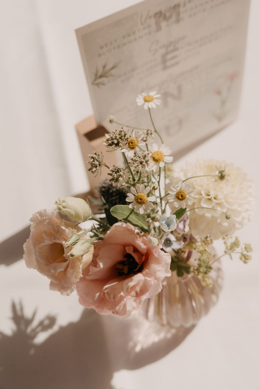 Soft pink flowers and delicate daisies arranged with classic paper cards in elegant shadows against a white surface.