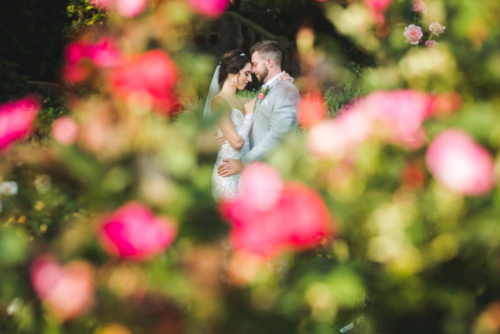 Pink roses and flowers create a soft bokeh effect in a romantic garden setting.