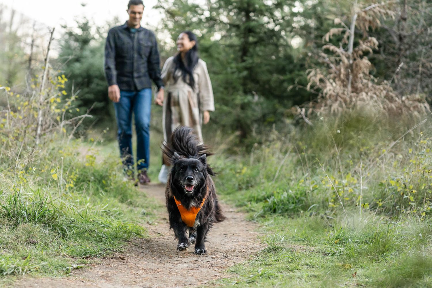 Parents smiling and walking together with their dog in Tanner Landing Park.