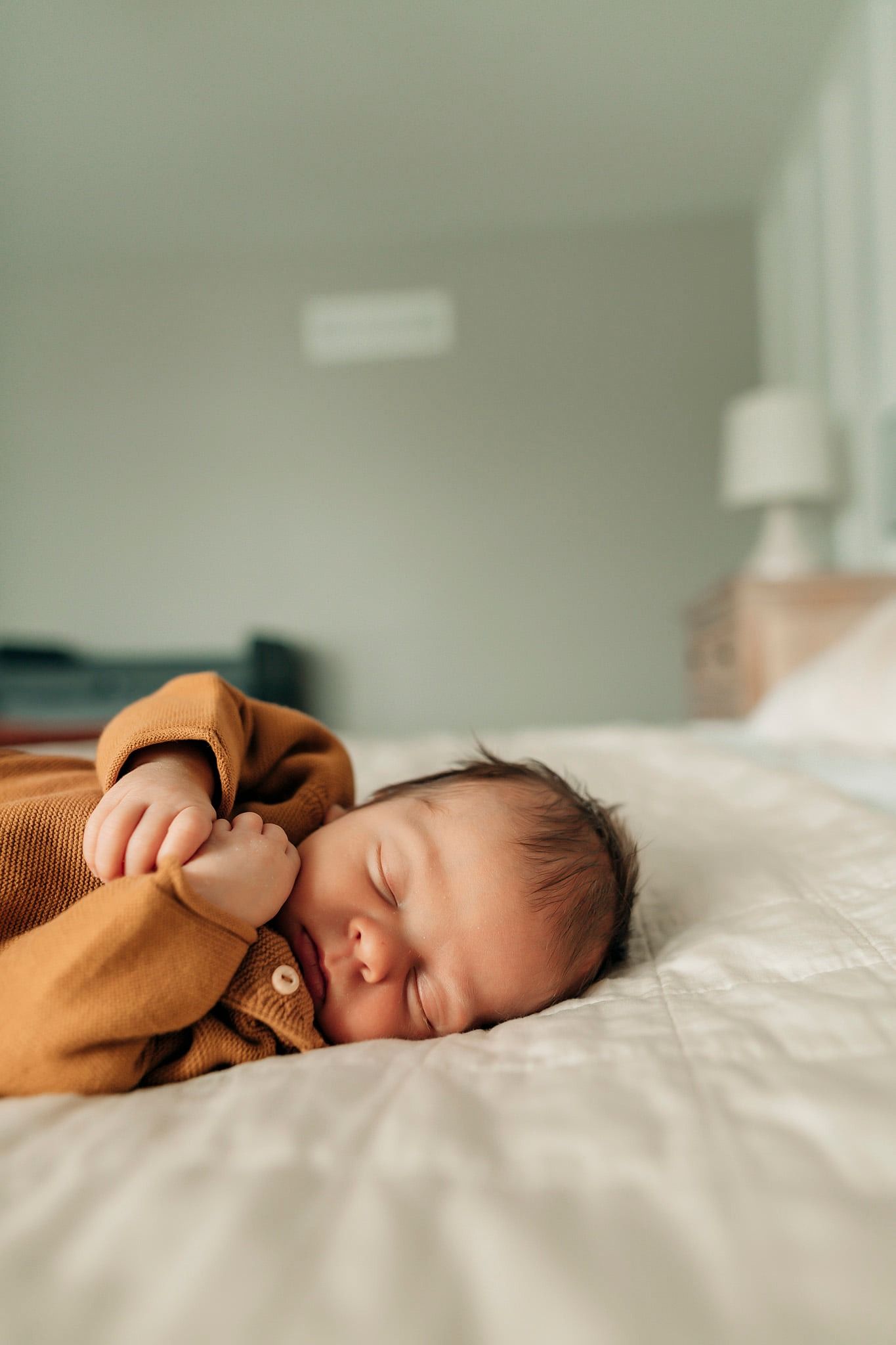 Dexter Michigan Newborn Photographer