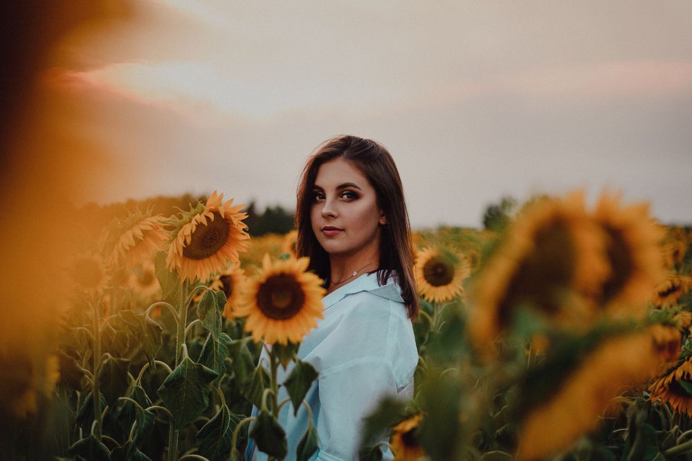 A dreamy sunset photoshoot in a vibrant sunflower field showcasing artistic portrait photography.