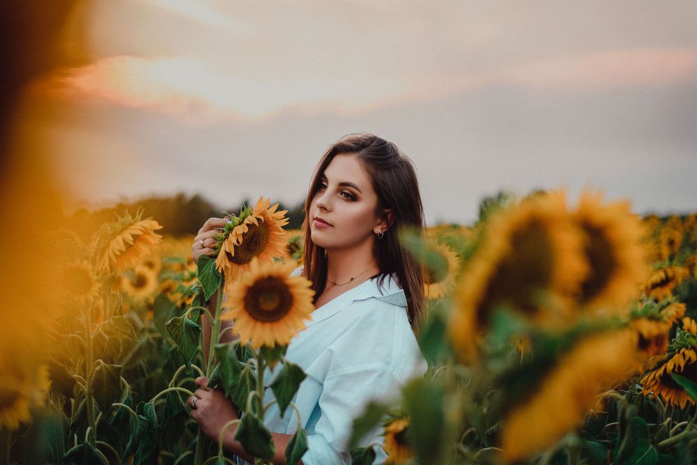 Golden hour photography in a sunflower field with soft lighting and warm tones.