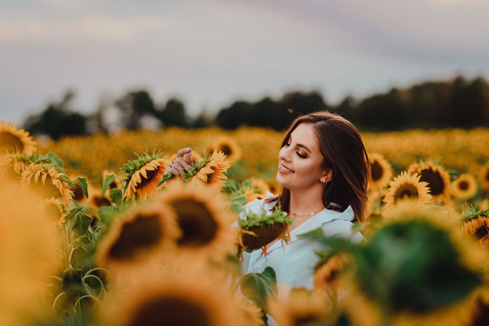 Ethereal summer photography featuring a sunflower field at dusk.
