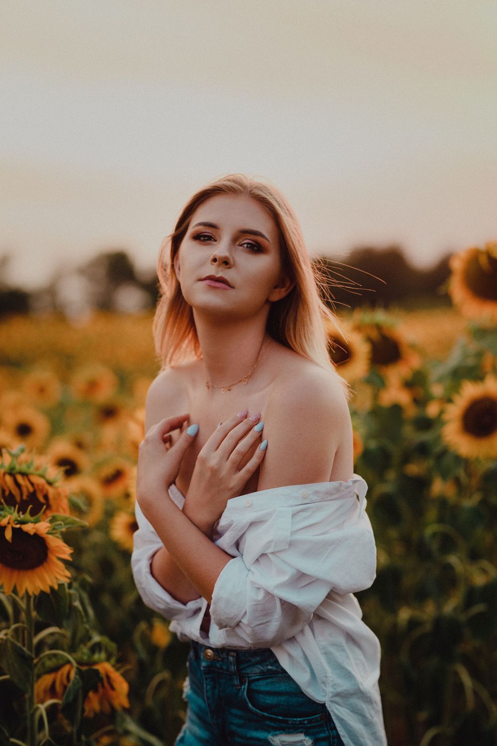 Sunflower field at dusk with warm sunset lighting and golden petals.