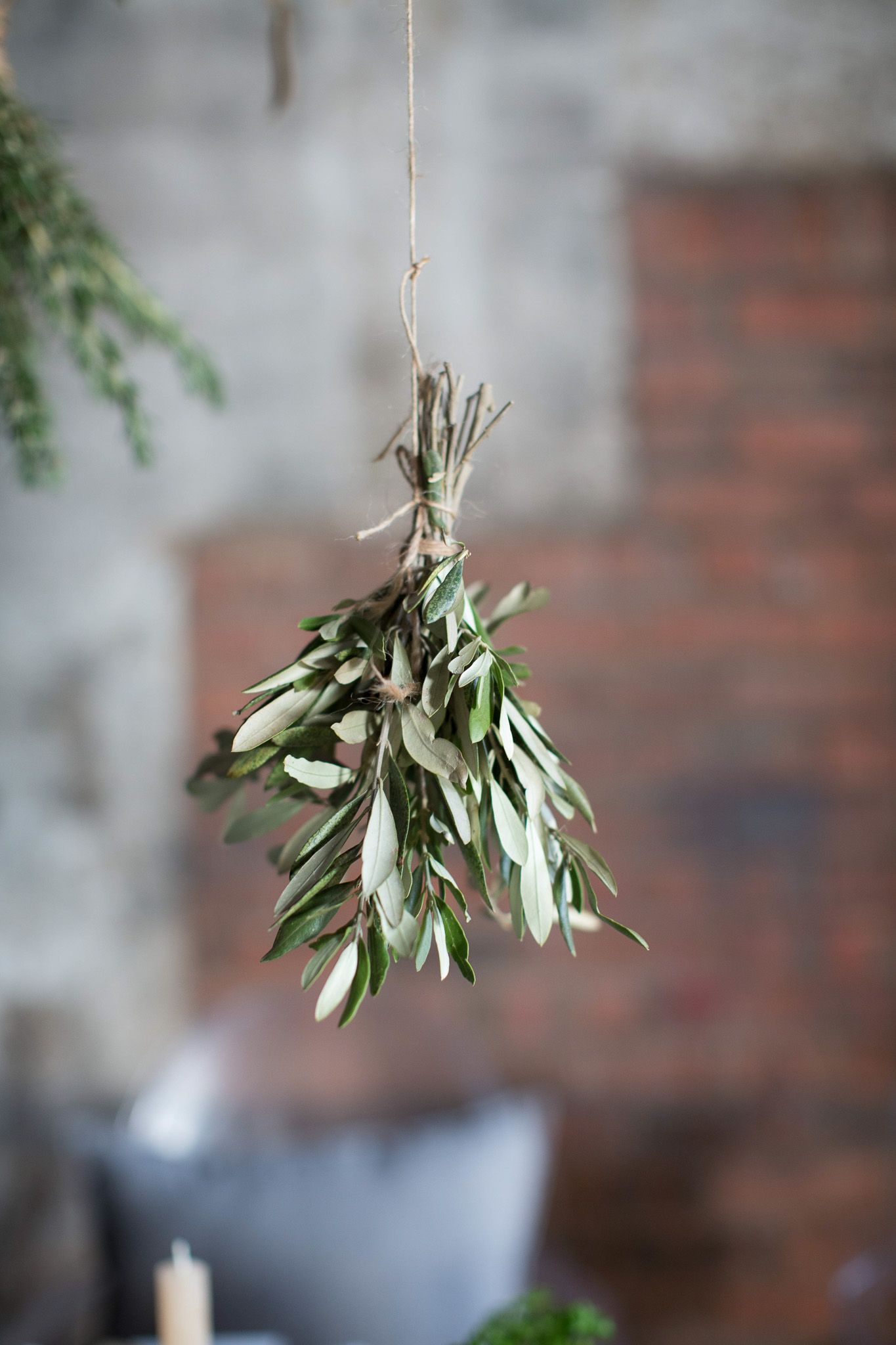 Dried olive branch bouquet tied with twine hanging against a rustic brick and concrete wall backdrop.