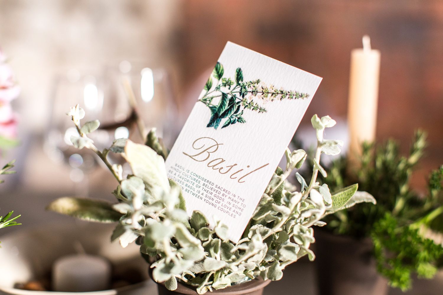Close-up of a Basil herb card nestled in a potted plant centerpiece at a wedding reception table.