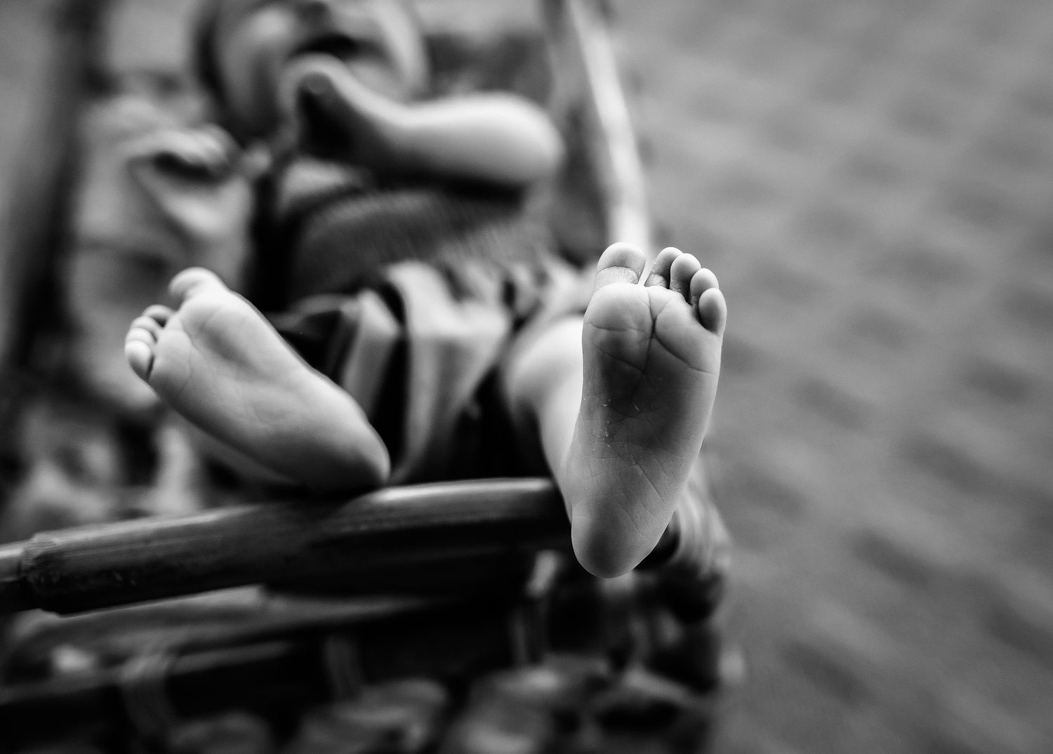 Fenton Michigan Newborn Photographer