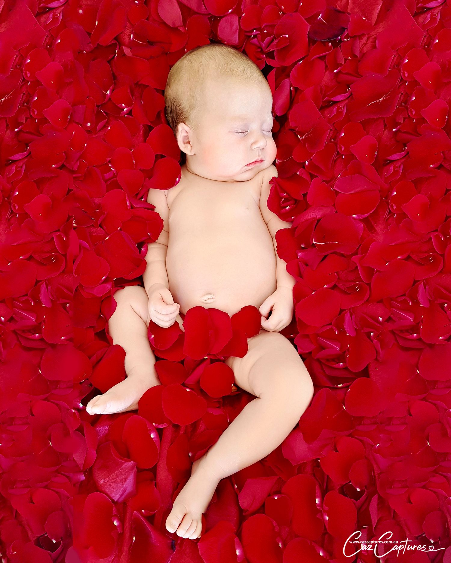 Newborn portrait of baby girl sleeping osurrounded by red rose petals by Caz Captures Sydney Newborn Studio Photographer