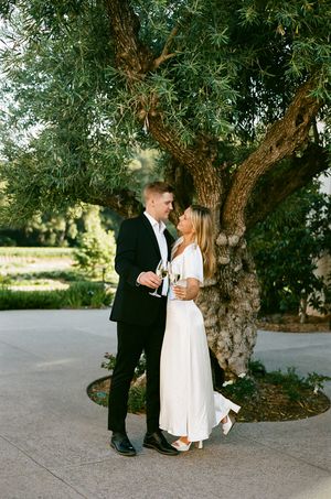 A romantic couple shares an intimate moment under a large olive tree on a sun-dappled patio.