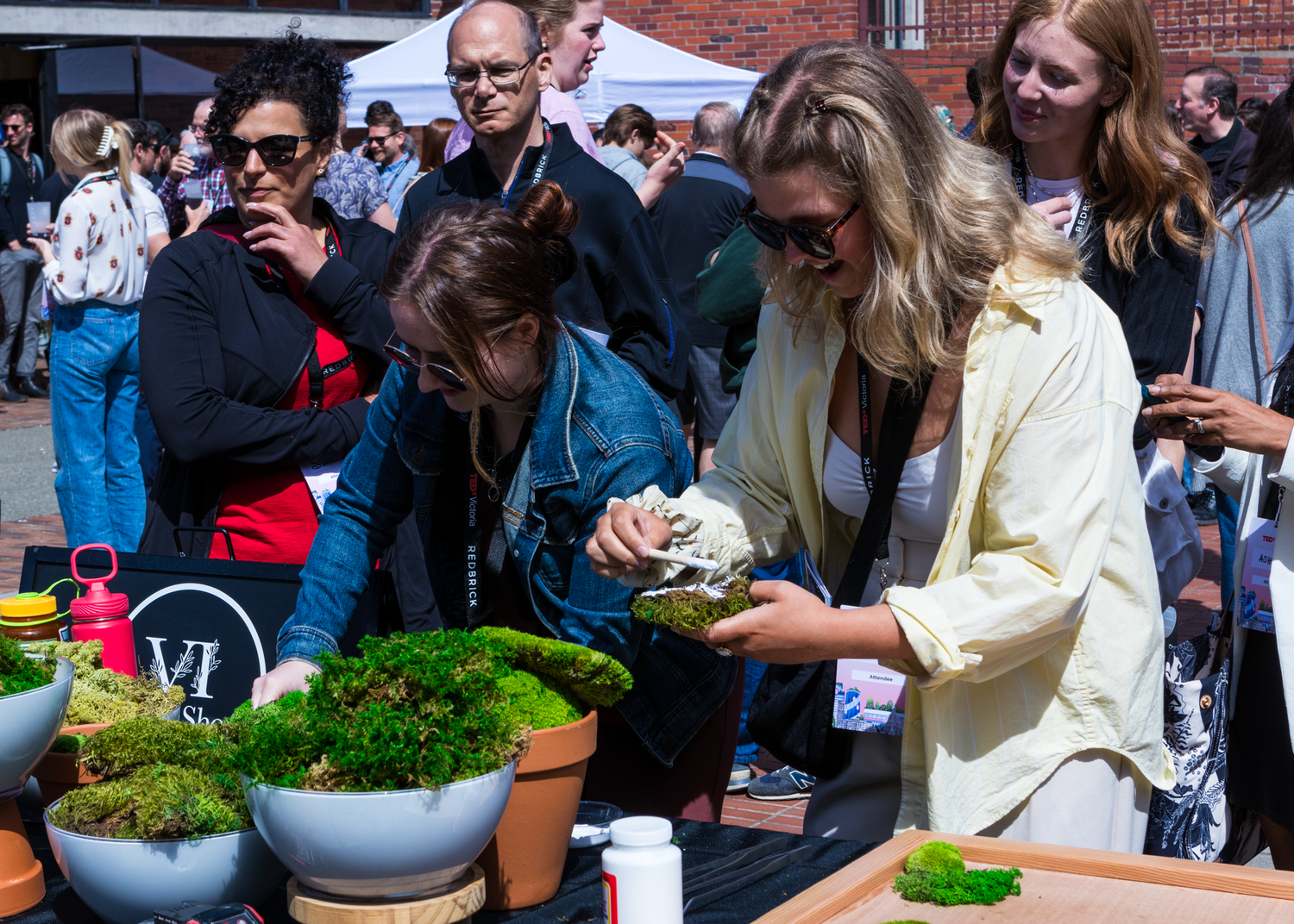 Event attendees examine fresh herbs and plants displayed in decorative bowls.