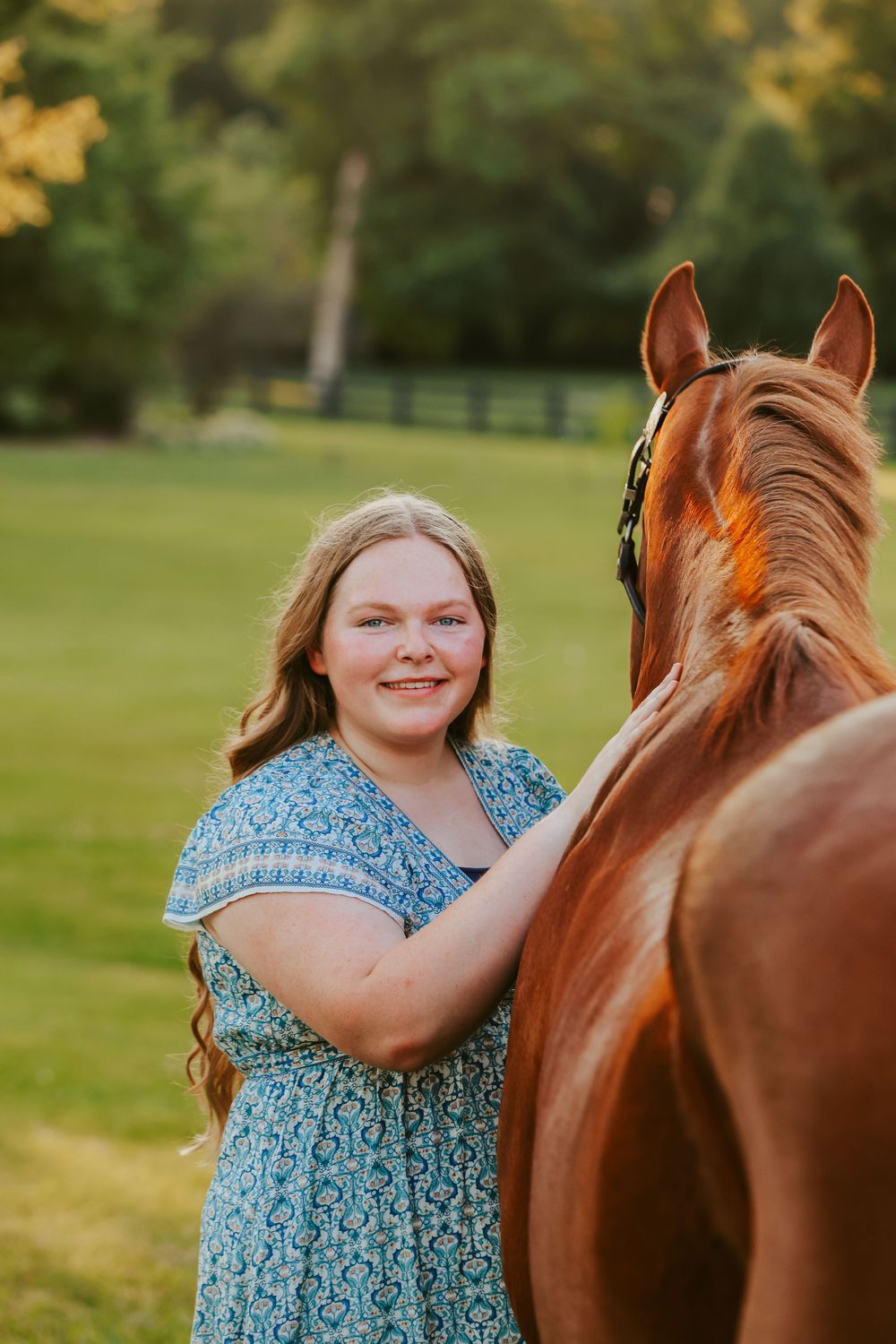 Beautiful chestnut horse with person in blue dress in sunny field.