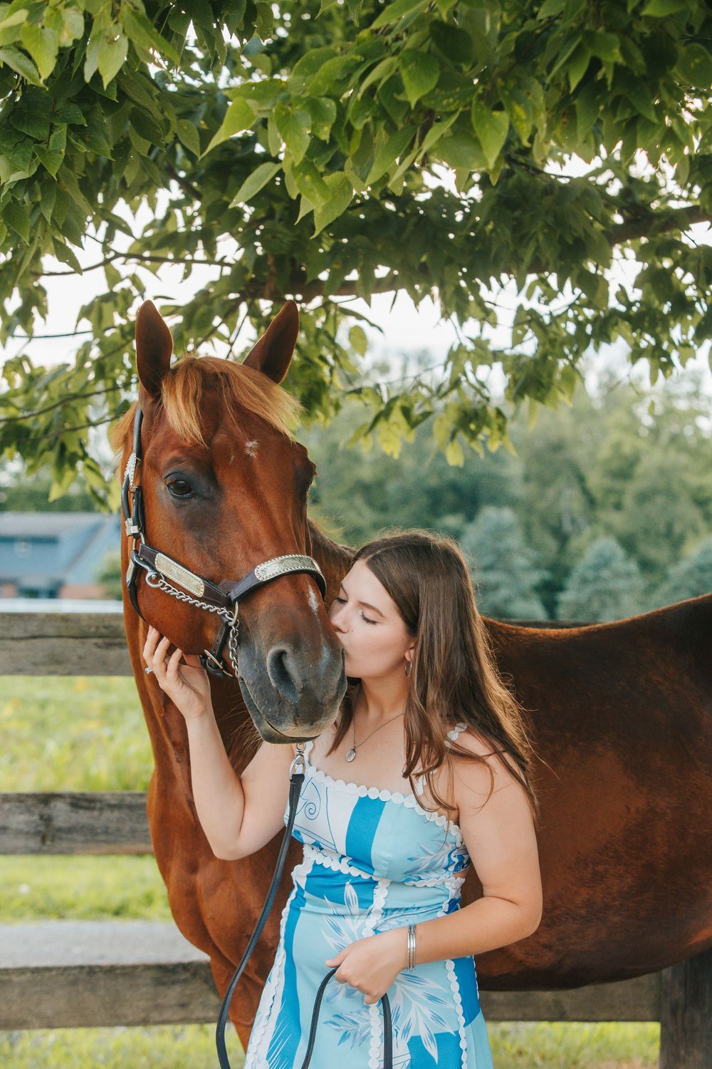 Brown horse and person sharing tender moment under green leafy trees.