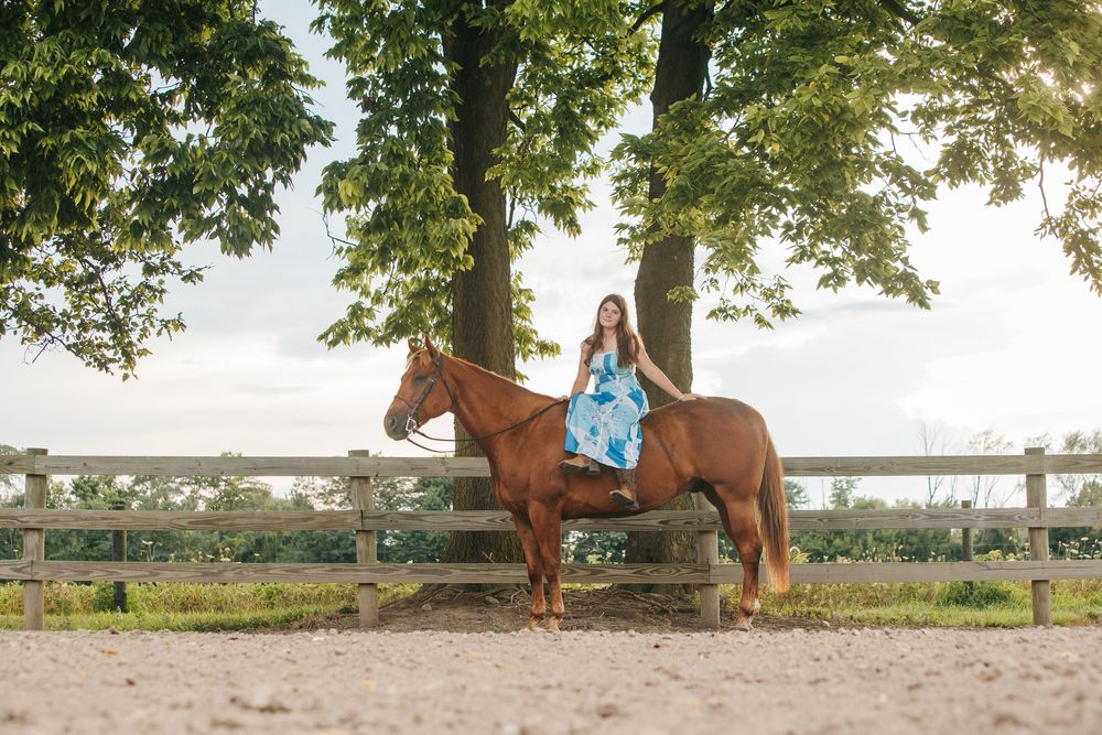 Person riding brown horse along fence line under summer trees.