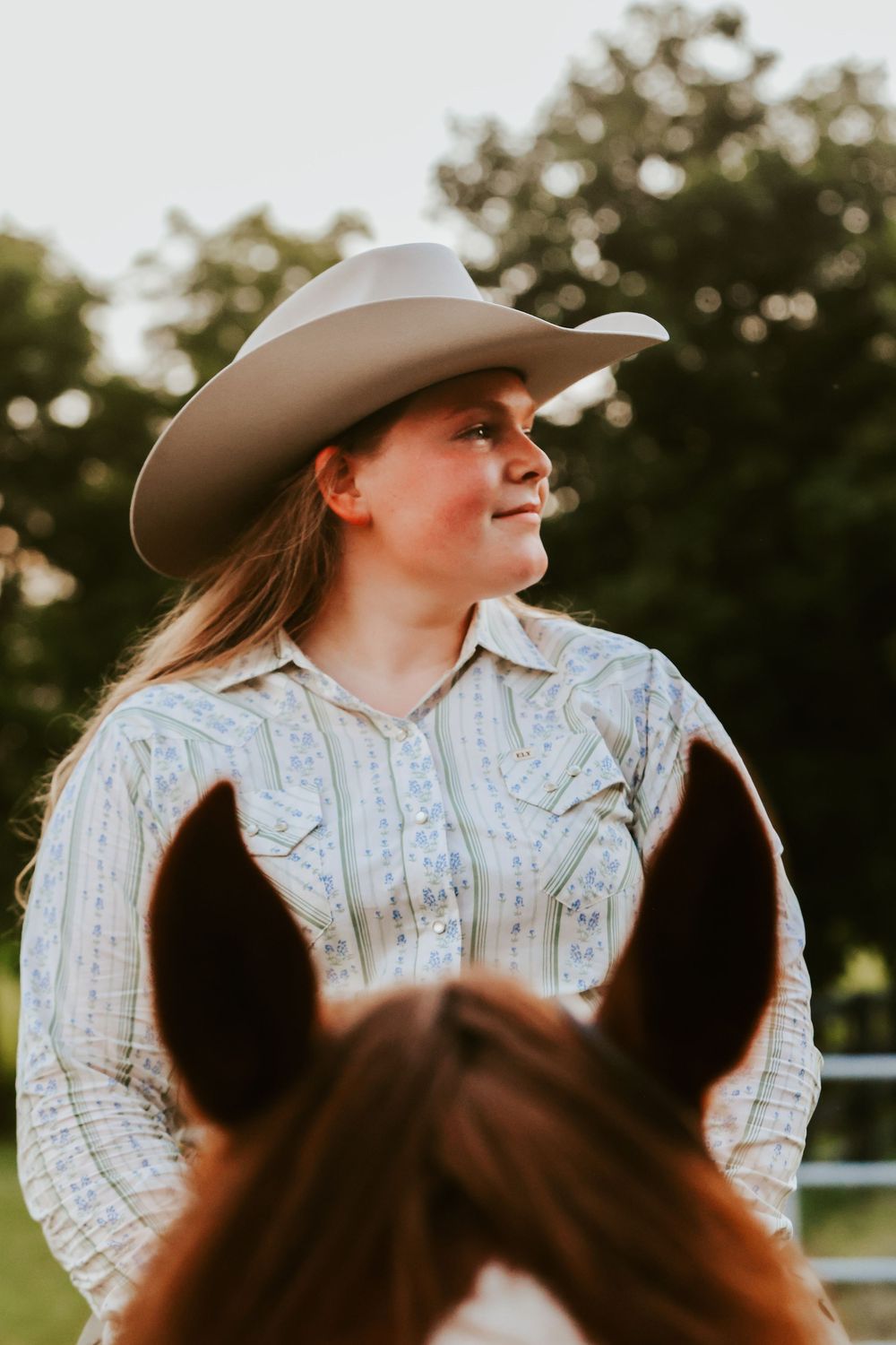 View of horse's ears with person wearing cowboy hat in golden sunlight.
