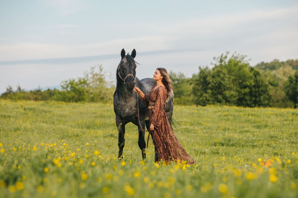 Beautiful horses graze in a spring meadow filled with yellow wildflowers.