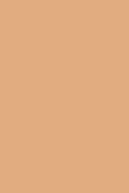 A solid peach colored background with a uniform smooth texture fills the entire frame.