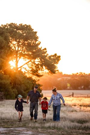 Family of four walking hand-in-hand through golden fields at sunset with trees glowing in warm light.