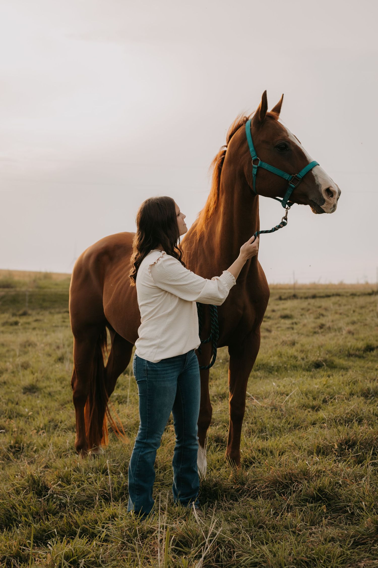 A person in white adjusts the teal halter on a chestnut horse in a grassy field.