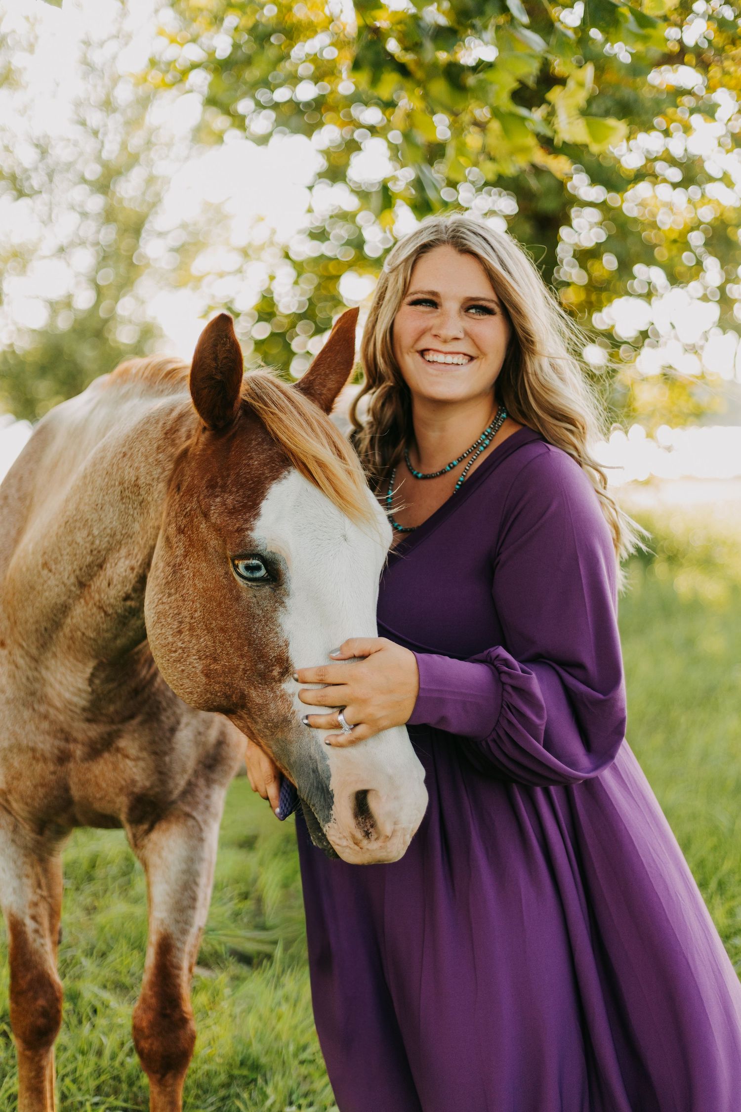 A brown and white horse being petted by someone wearing a purple sweater in a grassy outdoor setting.