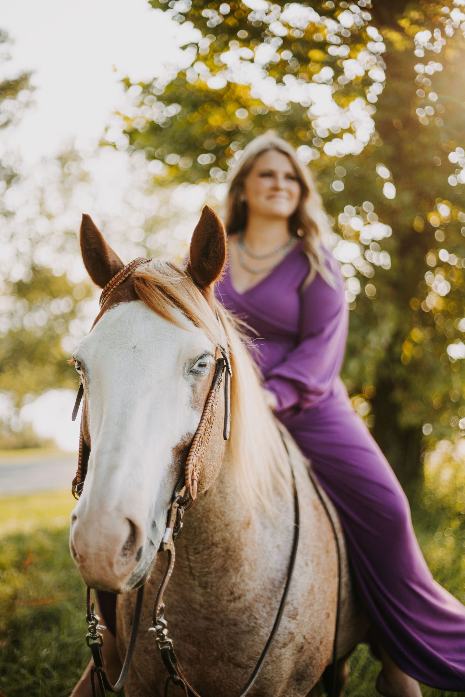 A white horse with bridle stands in a sunlit field with golden bokeh and purple accents in the background.