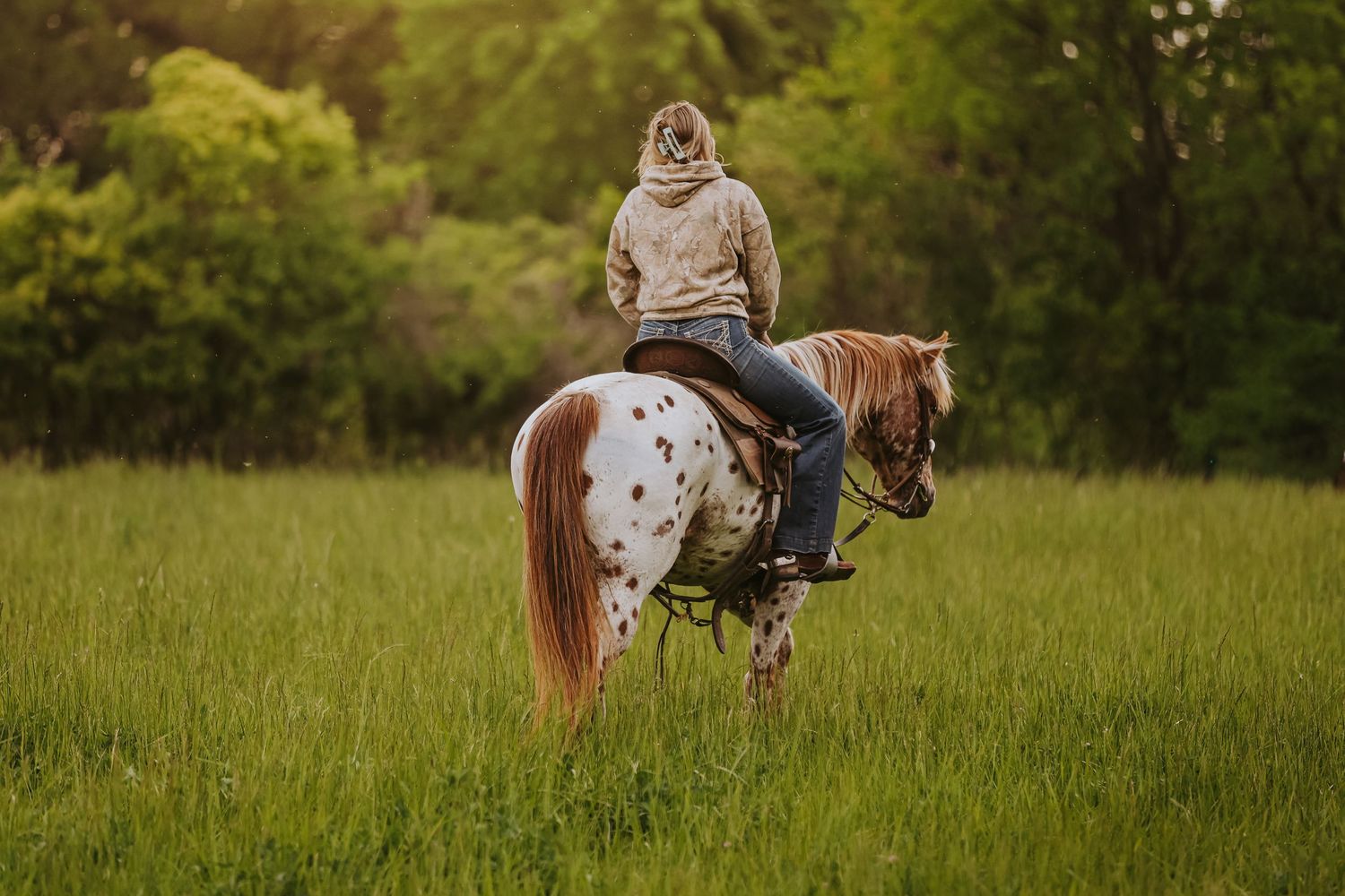 Person riding an Appaloosa horse through a lush green meadow surrounded by trees.