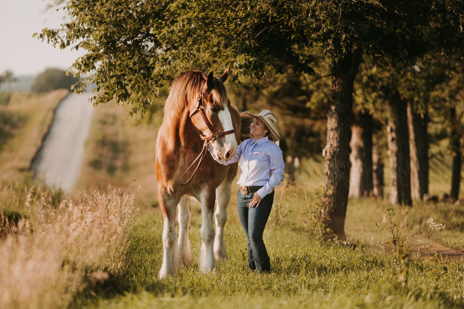 A young girl in a cowboy hat stands beside a tall chestnut horse in a sunlit green field with trees.